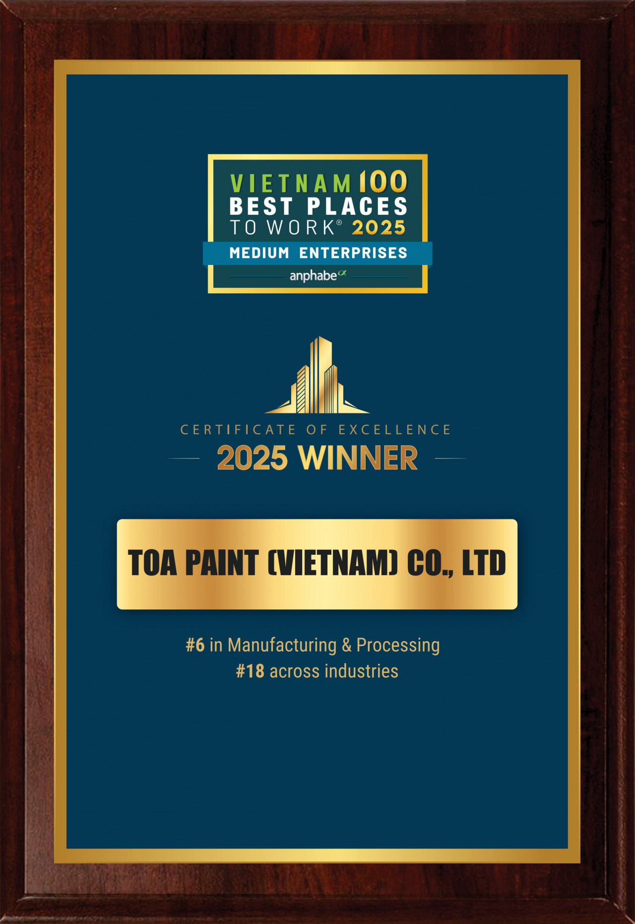 TOP 100 NƠI LÀM VIỆC TỐT NHẤT VIỆT NAM 2025 - KHỐI DOANH NGHIỆP VỪA